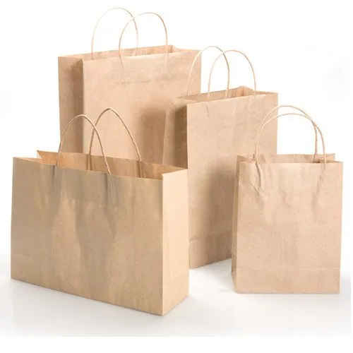 gift-paper-bags-500x500-jpg-500x500